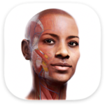Complete Anatomy For Mac3D医学人体模型 V12.6.0