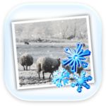JixiPix Snow Daze For Mac雪景特效制作工具 V1.32